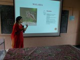 Students Interaction on the Mosquito-borne diseases and prevention awareness program