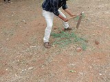 IMG-20190629-WA0032  